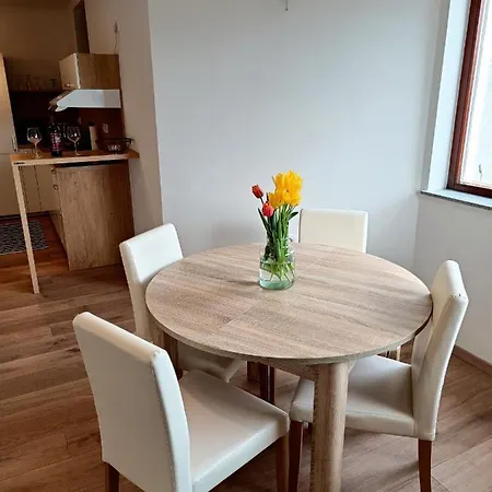 Lägenhet Green Apartment Cerknica