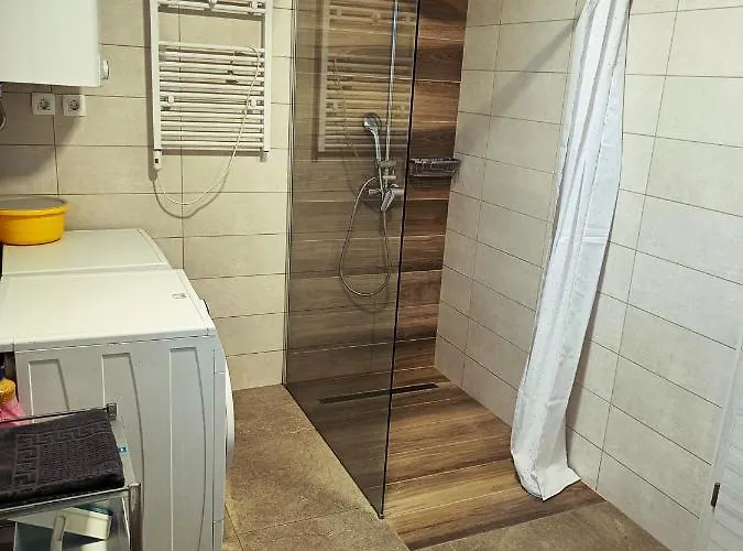 Daire Green Apartment Cerknica